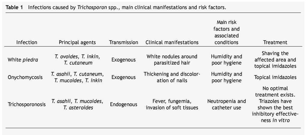 Trichosporon Spp An Emerging Fungal Pathogen Medicina