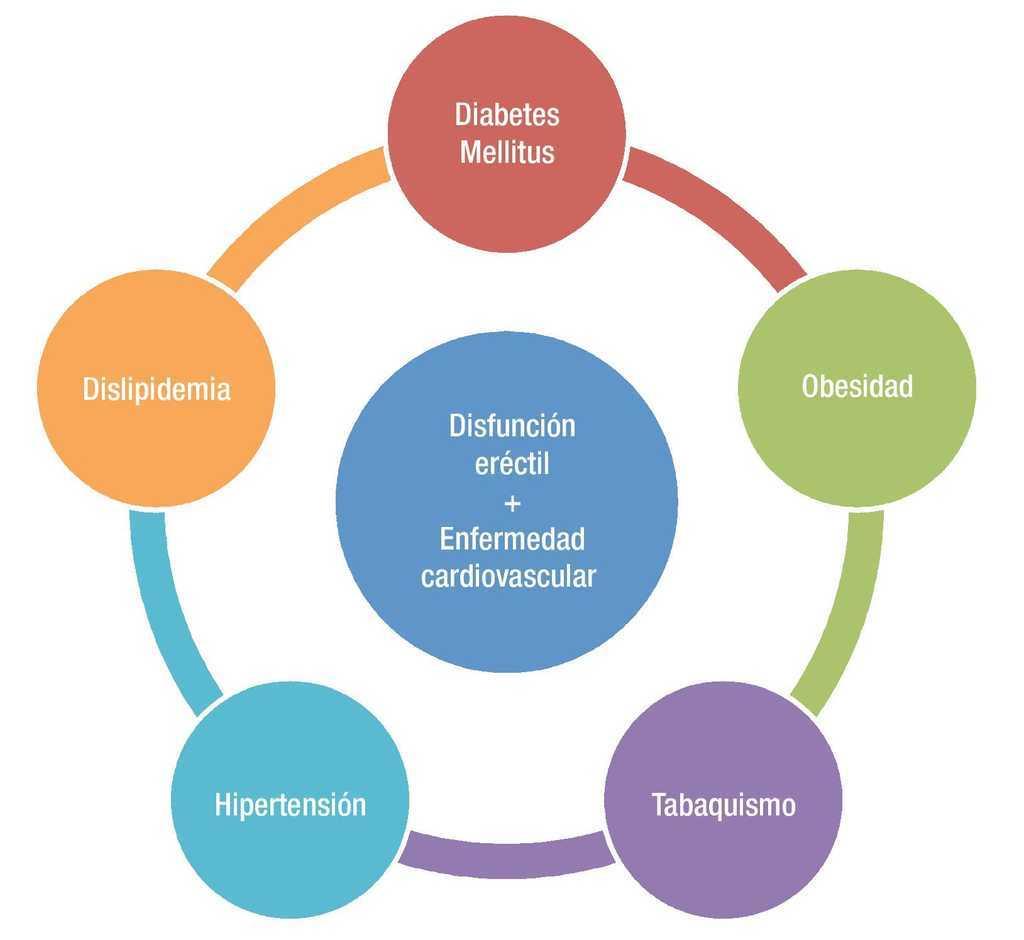 Disfunción Eréctil Y Enfermedad Cardiovascular ¿qué Sabemos Hasta El 3428