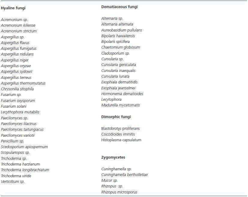 Clinical and microbiological aspects of fungal peritonitis in ...