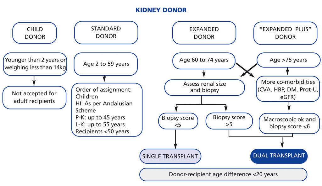 Optimising expanded donor organs through dual kidney transplantation a casecontrol study