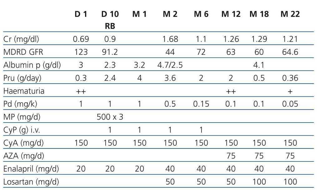 Post Transplant Henoch Schonlein Purpura De Novo Clinical Histological Discordance Nefrologia Post Transplant Henoch Schonlein Purpura De Novo Clinical Histological Discordance Nefrologia