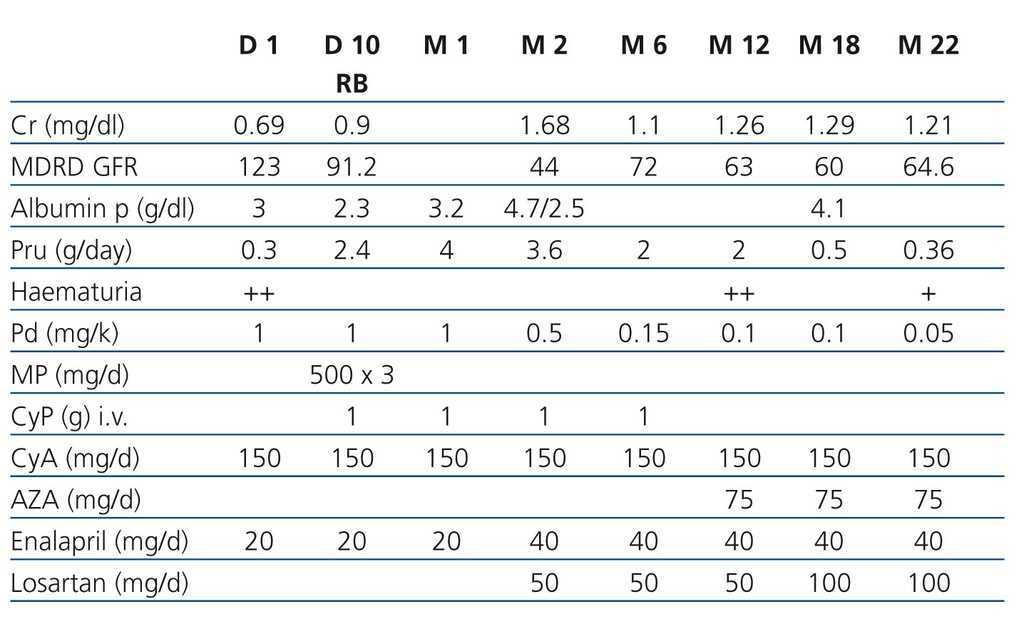 Post Transplant Henoch Schonlein Purpura De Novo Clinical Histological Discordance Nefrologia