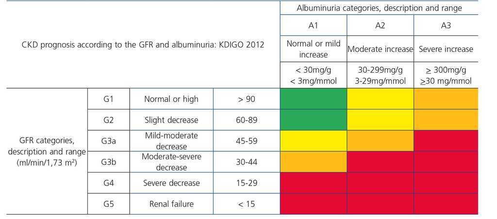 Consensus Document On The Management Of Renal Disease In Hiv Infected Patients Nefrologia