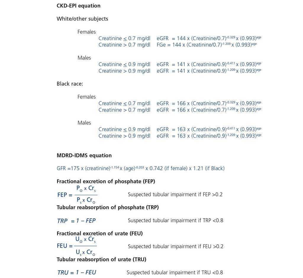 Consensus Document On The Management Of Renal Disease In Hiv Infected Patients Nefrologia