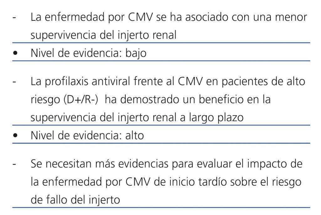 Enfermedad Por Citomegalovirus Efectos Directos E Indirectos Nefrologia