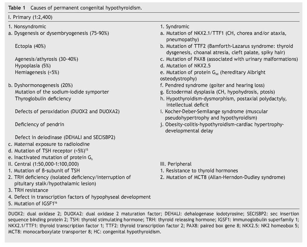 Thyroid Hypoplasia as a Cause of Congenital Hypothyroidism in