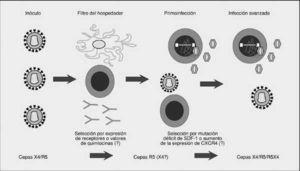 Inmunopatología del sida | Medicina Integral
