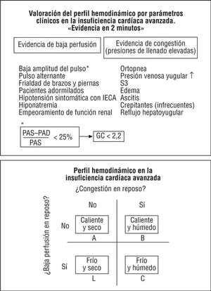 Tratamiento De La Insuficiencia Cardíaca Refractaria O Avanzada ...