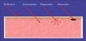 Representación de los diferentes fenómenos físicos que se producen cuando irradiamos la piel con una fuente de luz.