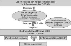 Diagnóstico diferencial de los síndromes linfoproliferativos CD30+. Modificada de Bekkenk et al13. MF: micosis fungoide; VIH: virus de la inmunodeficiencia humana.