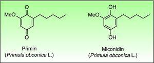 Chemical structures of primin and miconodin.