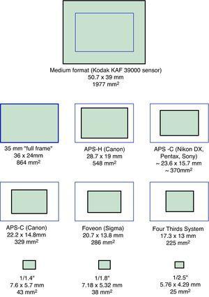 Gráfico representando los distintos tamaños relativos de sensores de las cámaras digitales. Adaptado de: http://en.wikipedia.org/wiki/Image_sensor_format [consultado 20 Ago 2011].