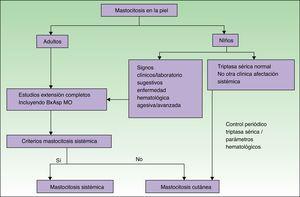 Algoritmo diagnóstico en pacientes con lesiones cutáneas sospechosas de mastocitosis. Fuente: Alvarez-Twose et al.58.