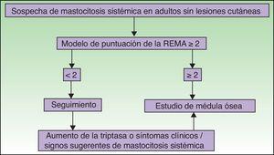 Algoritmo diagnóstico en pacientes adultos con sospecha de mastocitosis sistémica con lesiones cutáneas de mastocitosis. Puntuación REMA: ver tabla 3; REMA: Red Española de Mastocitosis. Fuente: Valent et al.64.