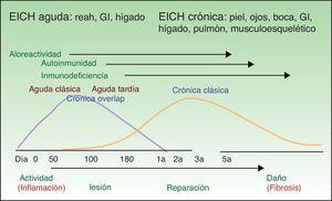 Esquema evolutivo de la EICH aguda y crónica. GI: gastrointestinal. Adaptada de: http://ccr.cancer.gov/resources/gvhd/about.asp