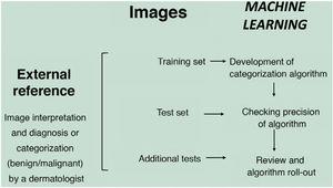Model of artificial intelligence for defining lesions in dermatopathology.
