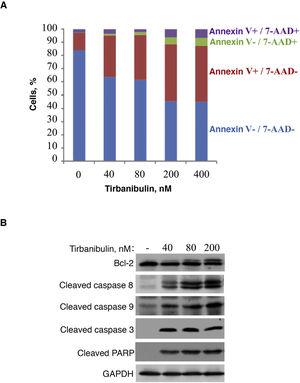 Induction of apoptosis in prostate cancer cells (PC3-LN4). A, Flow cytometry analysis of PC3-LN4 cells stained with annexin V and 7-AAD after treatment with tirbanibulin at different concentrations for 48 hours. B, Immunoblot analysis of lysed PC3-LN4 cells after 24 hours of treatment with tirbanibulin. 7-AAD indicates 7-aminoactinomycin D; GADPH, glyceraldehyde-3-phosphatase dehydrogenase; PARP, poly(ADP-ribose) polymerase. Source: ATNXUS-KX01-001 study.