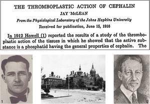 Jay McLean1, William Henry Howell2 y la Universidad Johns Hopkins School of Medicine (Baltimore, Maryland, EE. UU.).