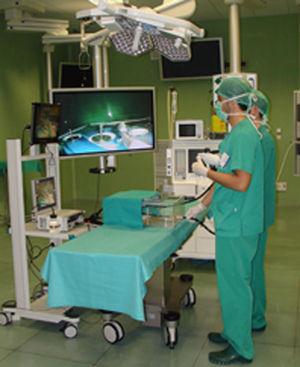 Entrenamiento inicial para la adquisición de habilidades en las maniobras endoscópicas en un simulador laparoscópico (SIMULAPIC 05®, CCMIJU, Cáceres, España).