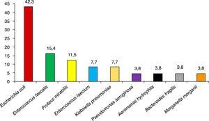 Etiología de las infecciones de localización quirúrgica (%). N = 19.