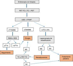 Algoritmo diagnóstico-terapéutico de los tumores de la UEG.