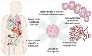 Esquema que ilustra algunhas das características patolóxicas adquiridas por unha célula cancral que axuda a sobrevivir no organismo. Fonte: Adaptado de Hanahan e Weinberg18.