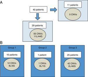 Characterization of CNVs larger than 400 Kb in Chilean cohort. A, among 40 patients, CNVs were not found in 11 individuals. In the remaining 29 patients, 55 CNVs were found (11 losses and 44 gains). B, each patient may have CNV of more than one group at a time. CNVs were categorized by clinical significance as CNV of clear clinical relevance (group 1), CNV of uncertain significance (group 2), or benign or polymorphic CNV (group 3). CNVs, copy number variants; G, gains; L, losses.