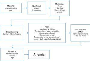 Anemia Food Chart