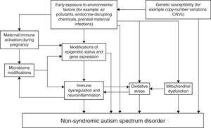 Etiopathogenesis of non-syndromic autism spectrum disorder. Note: It summarizes various possible interactions among genetic and environmental factors involved in the etiopathogenesis of non-syndromic autism spectrum disorder. Each arrow represents a facilitating effect.