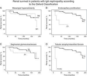 Renal survival of patients with IgA nephropathy according to the Oxford Classification. (A) Kaplan–Meier curves show the same probability of renal survival (decline of baseline eGFR ≥50%) for patients with mesangial hypercellularity M1 (n=18) and without mesangial hypercellularity M0 (n=36). (B) Kaplan–Meier curves show the lower probability of renal survival for patients with endocapillary proliferation E1 (n=5) as compared with patients without endocapillary proliferation E0 (n=49). (C) Kaplan–Meier curves show the same probability of renal survival for patients with segmental glomerulosclerosis S1 (n=13) and without segmental glomerulosclerosis S0 (n=41). (D) Kaplan–Meier curves show the lower probability of renal survival for patients with tubular atrophy/interstitial fibrosis ≥25% T1 or T2 (n=2) as compared with patients with tubular atrophy/interstitial fibrosis equal or lower than 25% T0 (n=52). eGFR, estimated glomerular filtration rate.