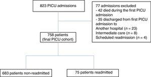 Patient's flow chart. PICU, pediatric intensive care unit.