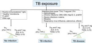 Factors that influence tuberculosis immune response. TB, tuberculosis; IgG, immunoglobulin G; Th, T helper lymphocyte; Treg, T regulatory cells; IL, interleukin; IFN, interferon; TNF, tumor necrosis factor; CMV, cytomegalovirus; EBV, Epstein-Barr virus; Hep, hepatitis. Adapted from Whittaker et al.9