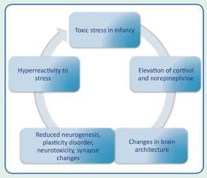 Relationship between toxic stress, epigenetic alterations and child development.