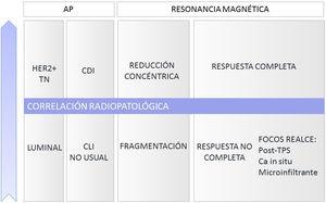 Correlación radiopatológica en función de criterios anatomopatológicos y de respuesta en la RM. AP: anatomía patológica; CDI: carcinoma ductal infiltrante; CLI: carcinoma lobulillar infiltrante; TN: triple negativo; TPS: terapia primaria sistémica.