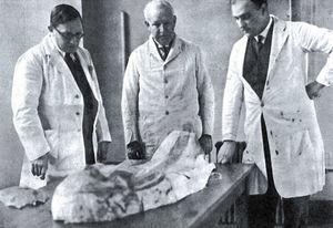 Smith, junto a Harris y Dawson, examinan un cartonaje de momia egipcia en el University College en 1930.