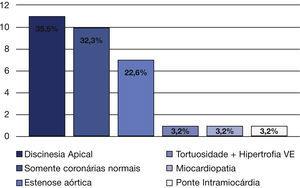 Achados característicos nos 31 pacientes com infarto agudo do miocárdio tipo 2 e com coronárias normais. VE: ventrículo esquerdo.