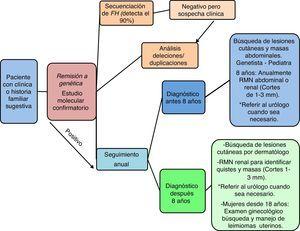 Flujograma de los puntos cruciales en el diagnóstico y seguimiento de pacientes con el síndrome HLRCC.