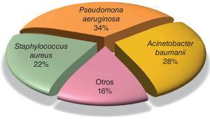 Germen causal de la osteomielitis crónica según cultivo óseo intraoperatorio.