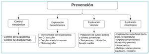 Mecanismos de prevención para el pie diabético.