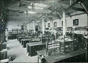 The laboratory for qualitative analysis at the University Sydney, circa 1916. Each hydrogen sulfide hood could accommodate four students, two on each side. Also note the shelves of glass-stoppered reagent bottles above each work station.