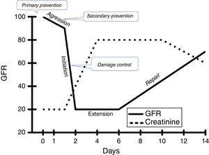 Theoretical relationship between glomerular filtration rate (GFR) and serum creatinine (SCr) in time, with emphasis in the possible impact of timely interventions on the course of kidney injury.34