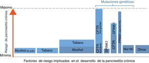 Implicación de diferentes factores de riesgo en la pancreatitis crónica (PC). Este gráfico ilustra una aproximación de la contribución relativa de los principales factores de riesgo conocidos en el desarrollo de la PC. El ancho de las columnas refleja la proporción de pacientes con PC que presenta el factor de riesgo indicado, y la altura el riesgo de desarrollar PC. Por ejemplo, la combinación de alcohol y tabaco es la causa más frecuente en estos enfermos, aunque la probabilidad de desarrollar PC en pacientes que fuman y beben alcohol es baja (1-3% de alcohólicos desarrollan PC). En el extremo contrario está la mutación R117H, las cual es muy poco prevalente en pacientes con PC en nuestro medio pero su existencia determina el desarrollo de la enfermedad en la mayoría de casos. Mut: mutaciones; NC: no conocidas. *Otros: neoplasias quísticas, pancreatitis autoimmune, fármacos, etc. (véase tabla 1).