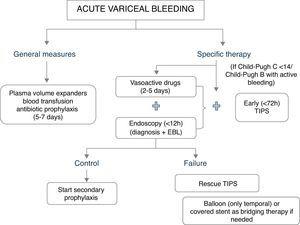 Summary of the management of acute variceal bleeding.