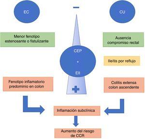 Fenotipos de la colangitis esclerosante primaria (CEP) y enfermedad inflamatoria intestinal (EII).