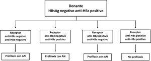 Algoritmo de utilización de injertos de donantes HBsAg negativo, anti-HBc positivo según el perfil serológico anti-HBs/anti-HBc del receptor y el riesgo de transmisión de hepatitis B. AN: análogos de nucleós(t)idos.