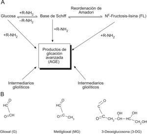 Principales rutas de formación de productos AGE en los sitemas fisiológicos y sus principales metabolitos dicarbonilo precursores. A) Formación de productos de glicación inicial y AGE a partir de glucosa y productos intermediarios glicolíticos y de peroxidación lipídica. B) Compuestos dicarbonilo reactivos generados fisiológicamente.