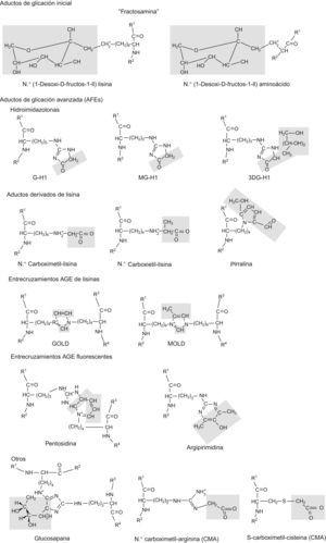 Estructura química de productos de glicación inicial y AGE detectados in vivo.