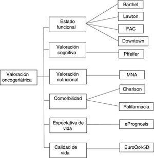 Escalas utilizadas en la valoración geriátrica integral en la Unidad de Oncogeriatría del Hospital Rey Juan Carlos, Móstoles, Madrid.