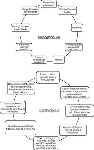 Principales causas de hemoglobinuria y rabdomiólisis.