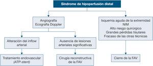 Síndrome de hipoperfusión distal. ATP: angioplastia transluminal percutánea; FAV: fístula arteriovenosa; NIM: neuropatía isquémica monomiélica.